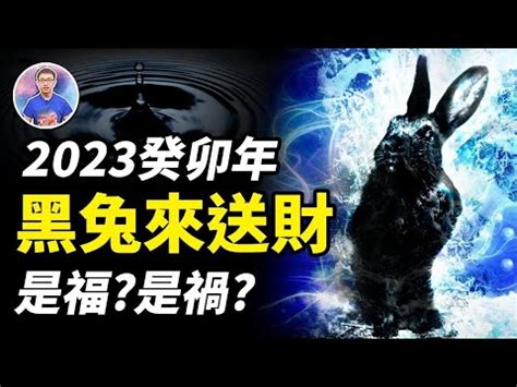 黑兔年要注意什麼|鬼門大開！60年一遇「極兇黑兔年」 2件事別做、5生肖小心了